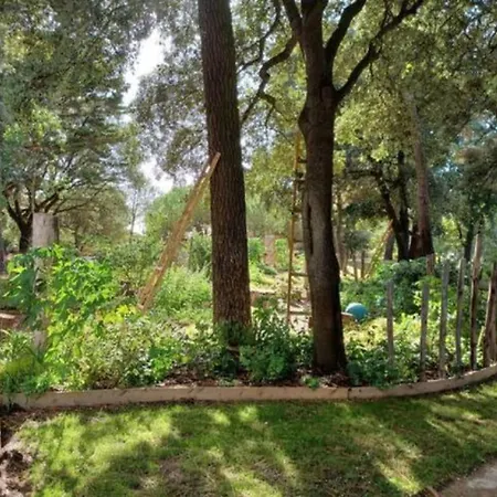 T2 Lumineux Avec Terrasse Et Vue Mer, A Pied